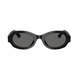 Black Oval Frame Sunglasses