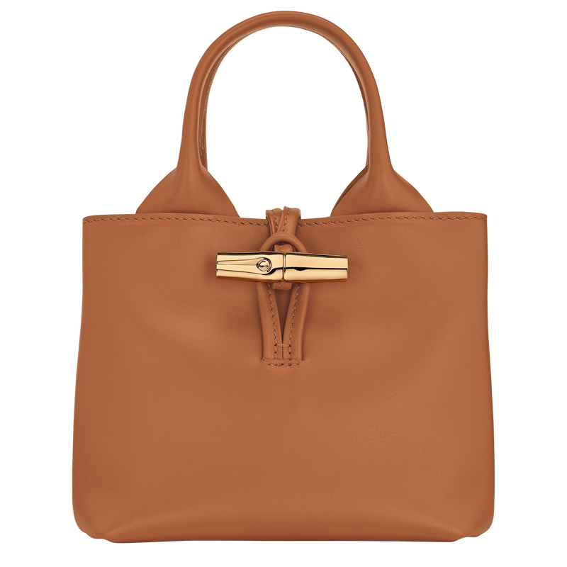 Brown handbag with a gold clasp on a white background
