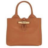 Brown handbag with a gold clasp on a white background