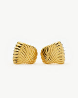 Pair of gold earrings on a white background