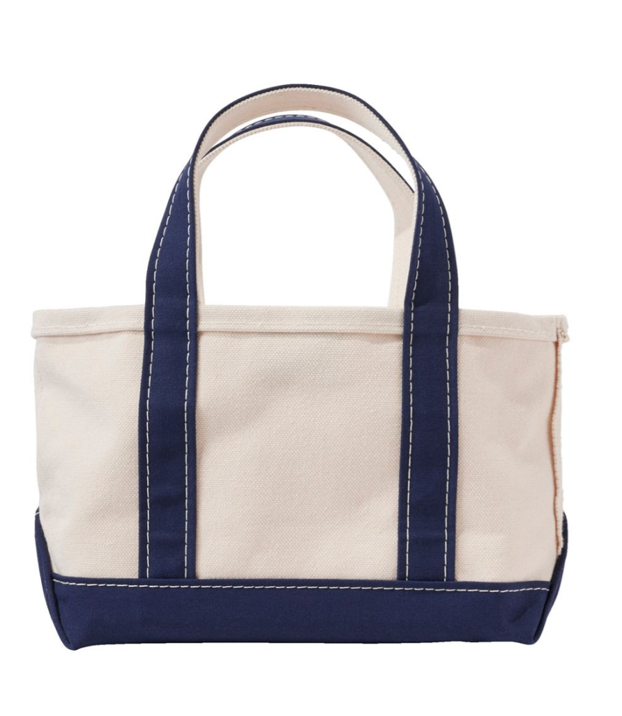 Boat and Tote Mini Canvas Bag